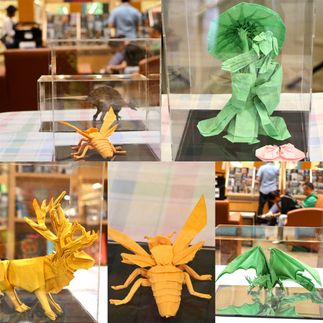 October 2020, Origami showcase in A local library!